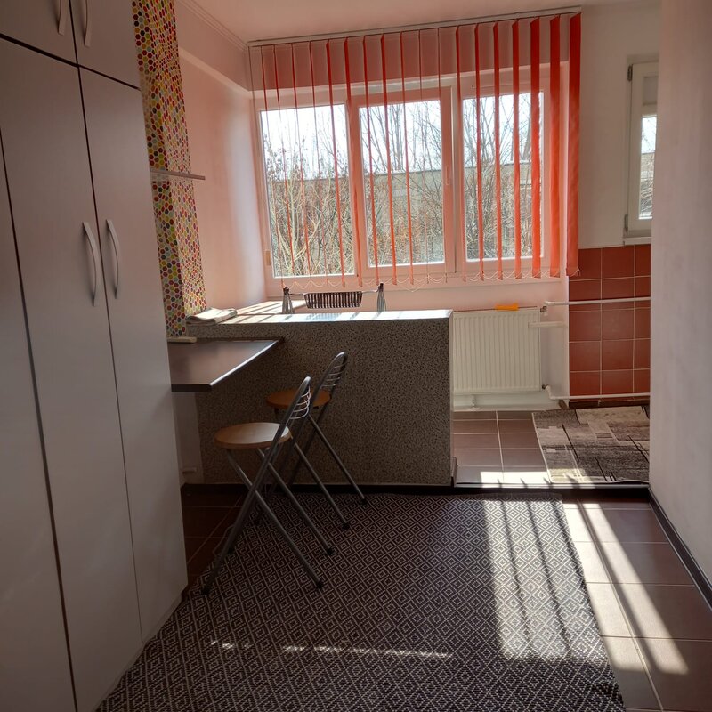 Constantin Brancoveanu.